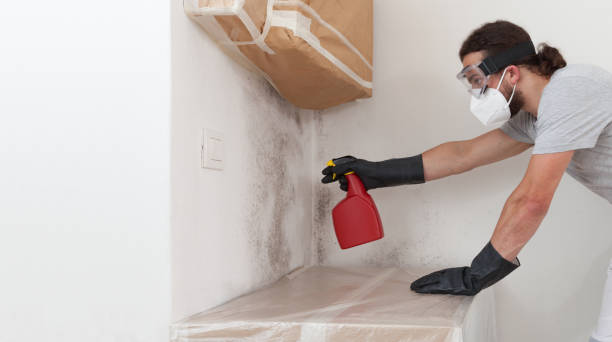 Professional Crawl Space Mold Remediation technician working in Marshall, MI