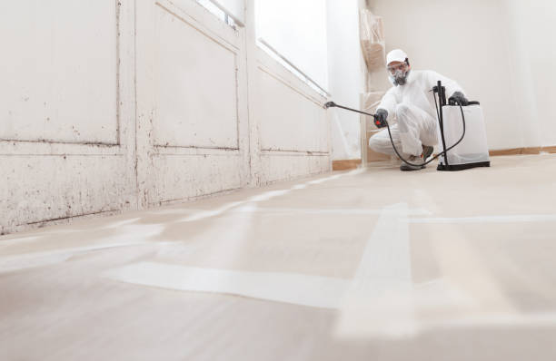 24/7 Emergency Crawl Space Mold Remediation experts in Marshall, MI