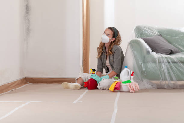 Reliable Crawl Space Mold Remediation contractor in Marshall, MI by Mold Remediation HQ